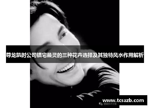 尊龙凯时公司镇宅最灵的三种花卉选择及其独特风水作用解析