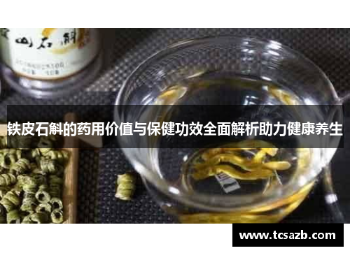 铁皮石斛的药用价值与保健功效全面解析助力健康养生